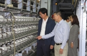 VNPOLY đã chinh phục được đỉnh cao chất lượng về sợi tổng hợp