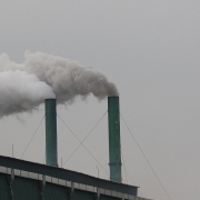 Tổ chức vận hành thí điểm sàn giao dịch tín chỉ carbon kể từ năm 2025