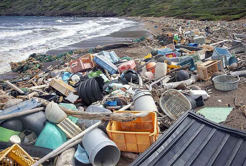 Xử lý nghiêm mọi hành vi gây ô nhiễm môi trường