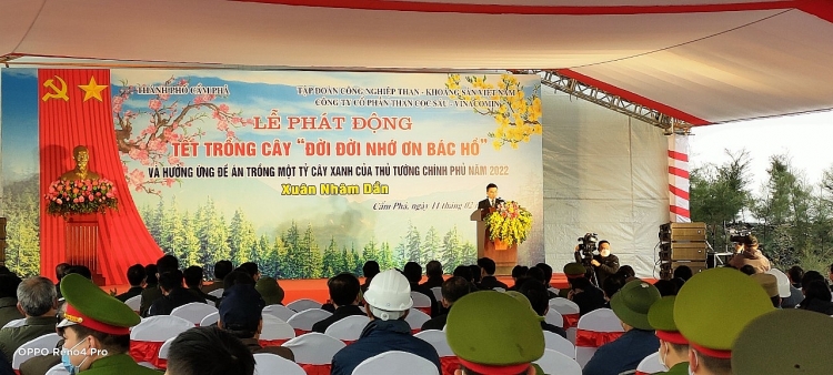 Than Cọc Sáu phấn đấu phủ xanh 16 hecta bãi thải đất đá trong năm 2022