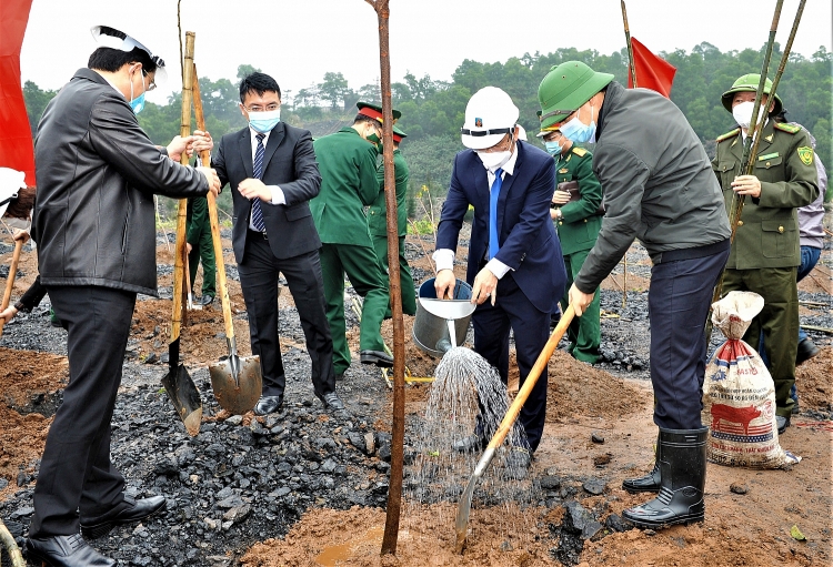 Than Cọc Sáu phấn đấu phủ xanh 16 hecta bãi thải đất đá trong năm 2022
