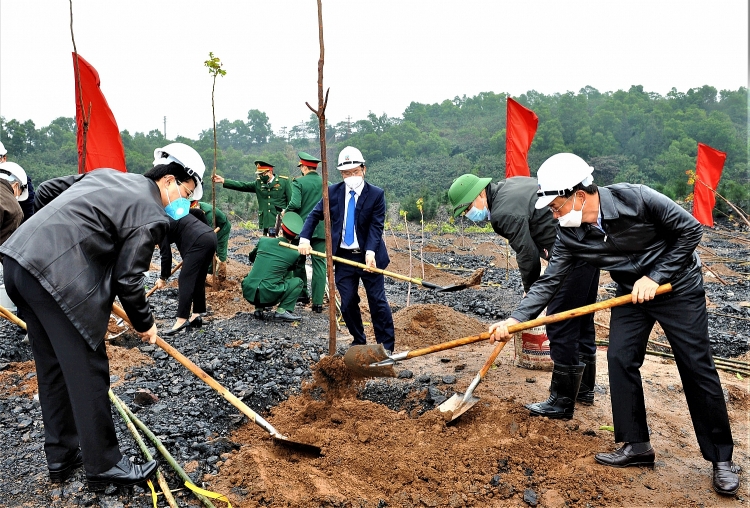 Than Cọc Sáu phấn đấu phủ xanh 16 hecta bãi thải đất đá trong năm 2022