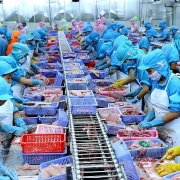 Tin tức kinh tế ngày 19/3: Xuất khẩu thủy sản sang Trung Quốc hồi phục mạnh