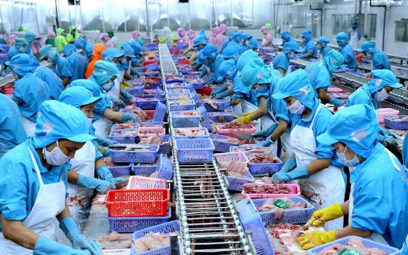 Tin tức kinh tế ngày 19/3: Xuất khẩu thủy sản sang Trung Quốc hồi phục mạnh Tin tức kinh tế ngày 19/3: Xuất khẩu thủy sản sang Trung Quốc hồi phục mạnh