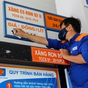 Đề nghị Chính phủ bình ổn giá điện, than, xăng dầu