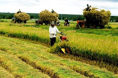 Thủ tướng phê duyệt Kế hoạch phát triển kinh tế tập thể, hợp tác xã giai đoạn 2021-2025