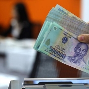 Tin tức kinh tế ngày 9/8: Cơ cấu lại các tổ chức tín dụng gắn với xử lý nợ xấu