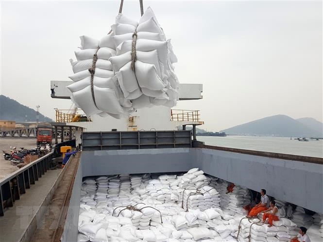 Tin tức kinh tế ngày 16/8: Gạo Việt Nam chịu sức ép cạnh tranh