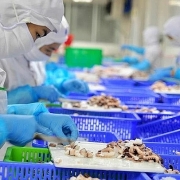 Tin tức kinh tế ngày 22/8: Một doanh nghiệp thủy sản Việt Nam bị Trung Quốc đình chỉ xuất khẩu