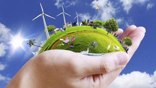 Chuyển động Năng lượng bền vững trong tuần qua (24/1- 30/1/2022): 