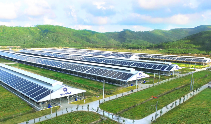 Vinamilk thuộc top 10 trong 50 doanh nghiệp niêm yết tốt nhất 2021 của Forbes Việt Nam