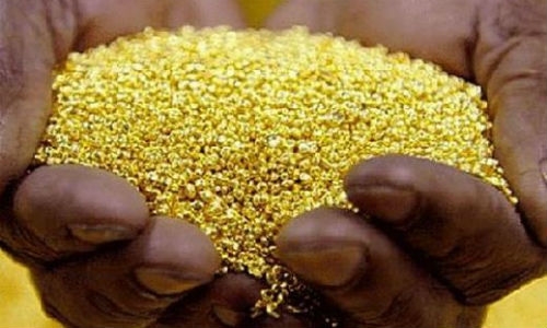 Khám phá thú vị nhất năm 2021