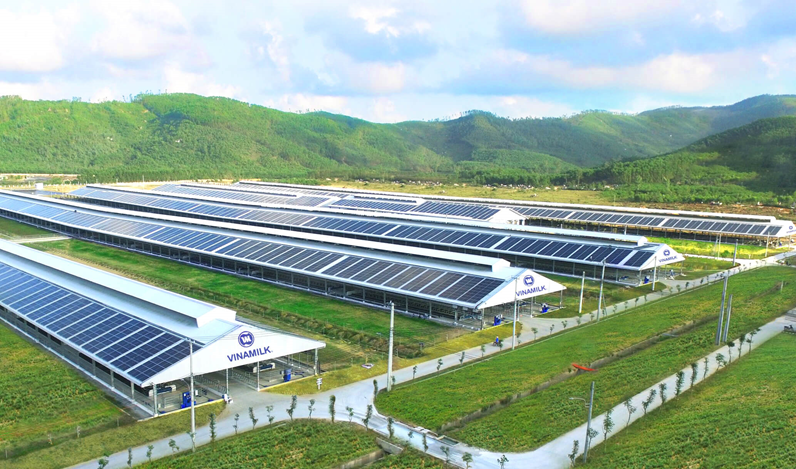 Quản trị doanh nghiệp tại Vinamilk và hành trình trở thành “Tài sản đầu tư có giá trị của ASEAN”