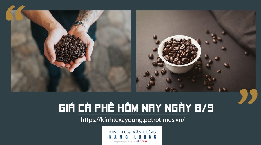 Giá cà phê hôm nay ngày 8/9: Tăng nhẹ tại các vùng trọng điểm Giá cà phê hôm nay ngày 8/9: Tăng nhẹ tại các vùng trọng điểm