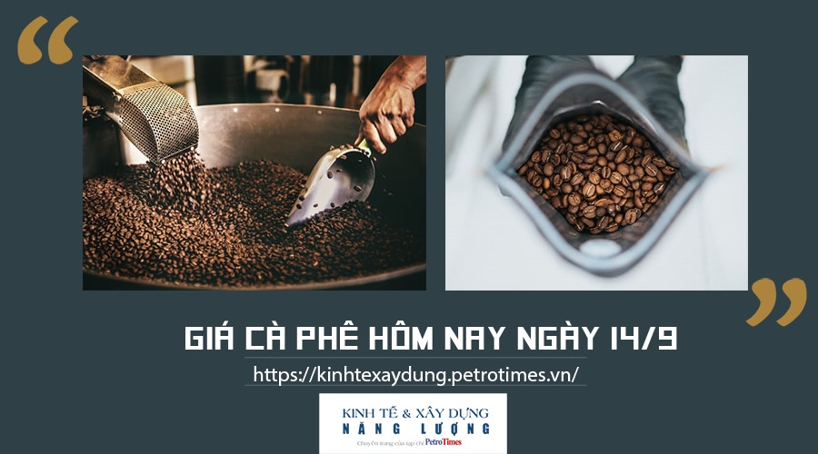 Giá cà phê hôm nay ngày 14/9: Thị trường trong nước đi ngang