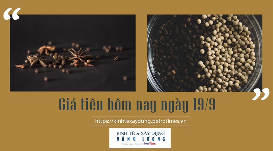 Giá tiêu hôm nay ngày 19/9: Thị trường trong nước tăng nhẹ