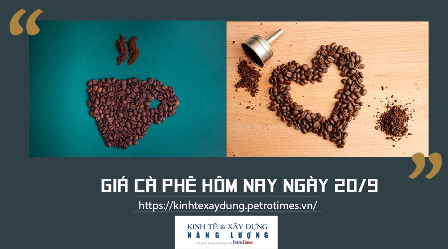 Giá cà phê hôm nay ngày 20/9: Vững đà tăng Giá cà phê hôm nay ngày 20/9: Vững đà tăng