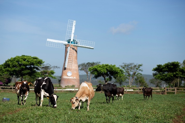 Vinamilk ra mắt sữa tươi Organic “tiêu chuẩn kép” trong triển lãm quốc tế hàng đầu tại Thượng Hải