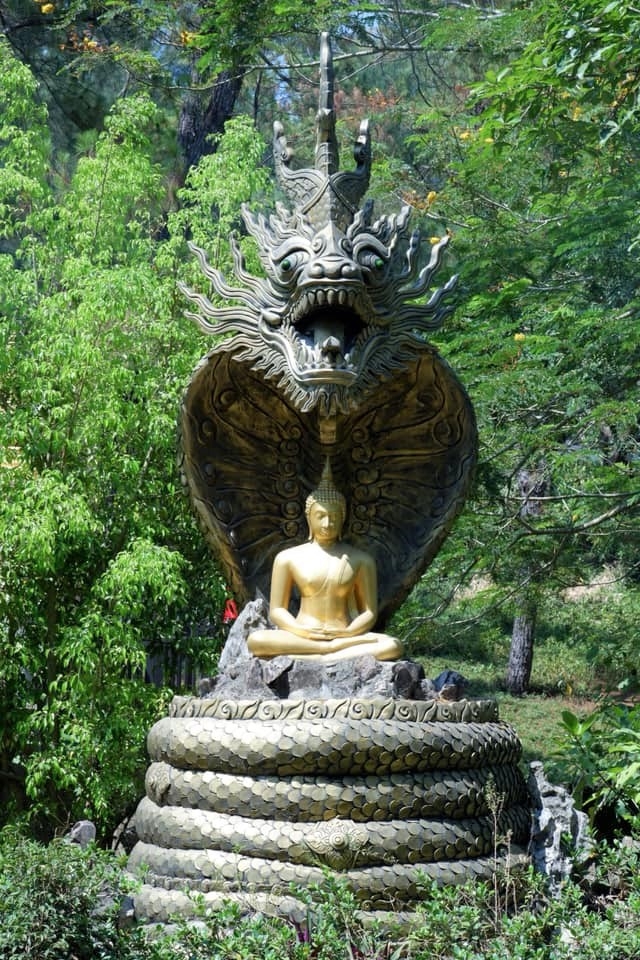 Hãy một lần ghé chùa Thiền Lâm - Ngôi chùa “Ấn Độ” trên đất Huế