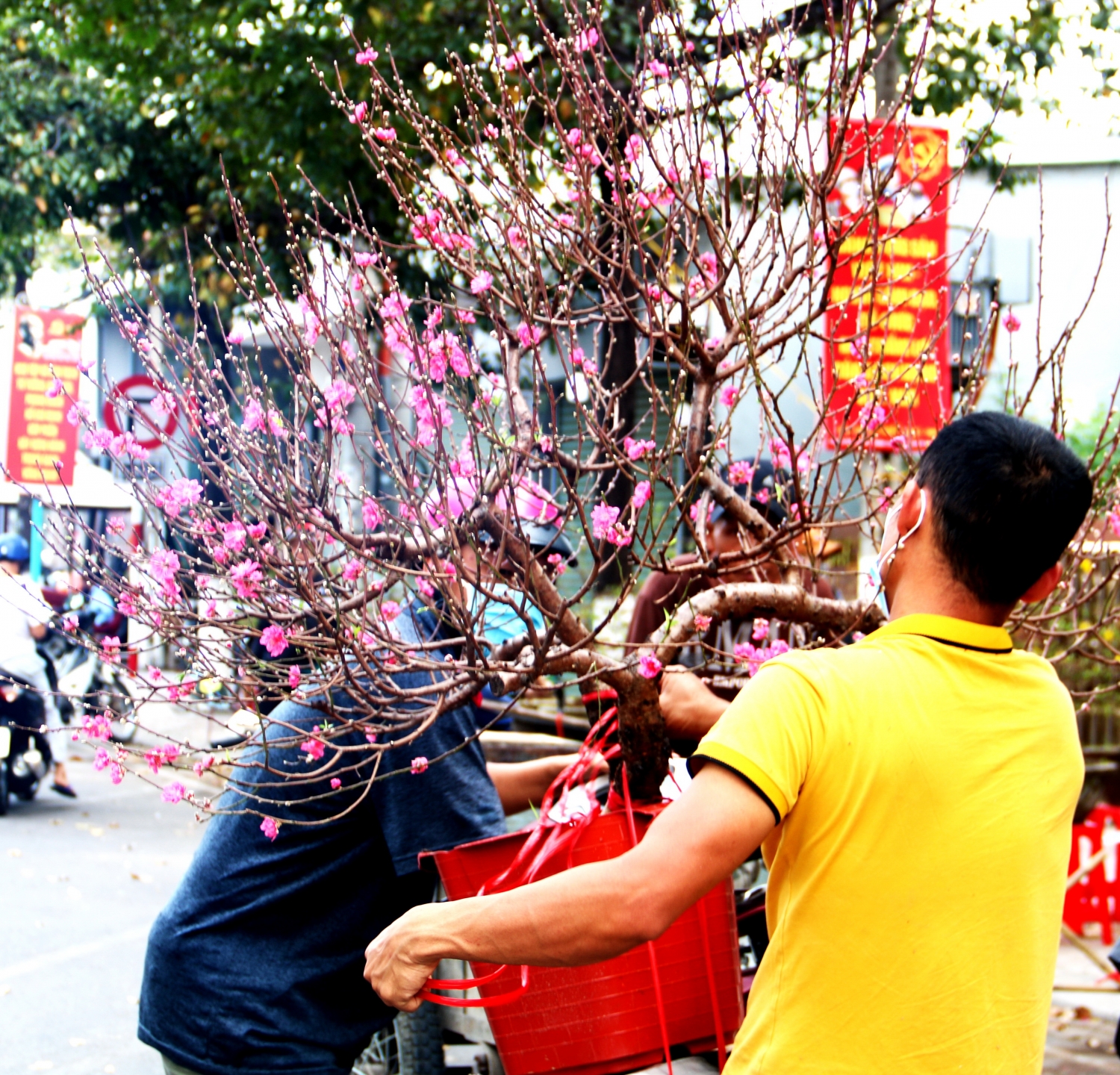 Du lịch Khánh Hòa rộn ràng đón Tết
