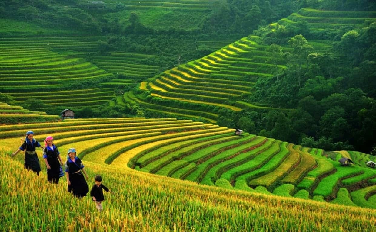 5 điểm đến dẫn đầu xu hướng du lịch hậu Covid-19