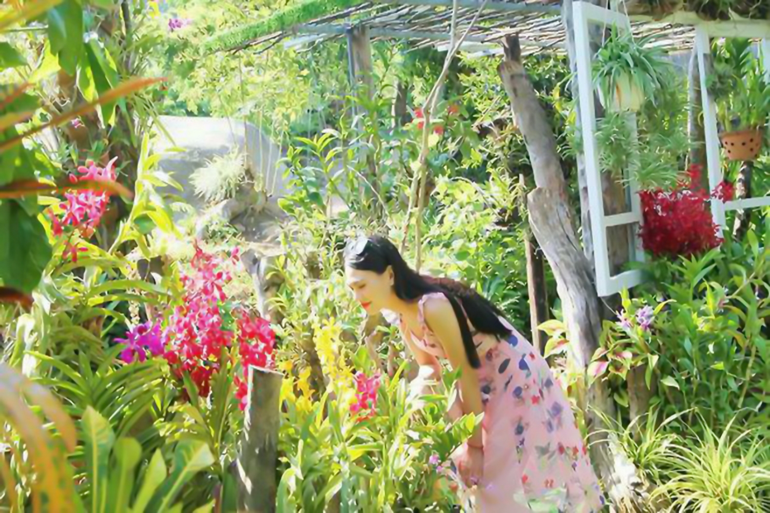 Khu du lịch đảo Khỉ và suối Hoa Lan mở cửa dịp Tết