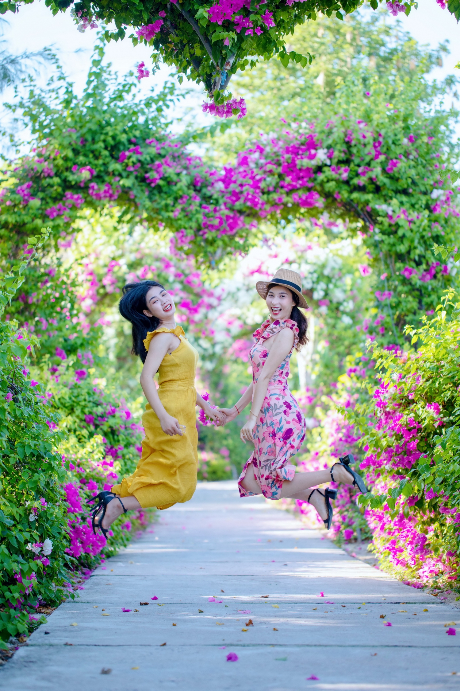 Khu du lịch đảo Khỉ và suối Hoa Lan mở cửa dịp Tết