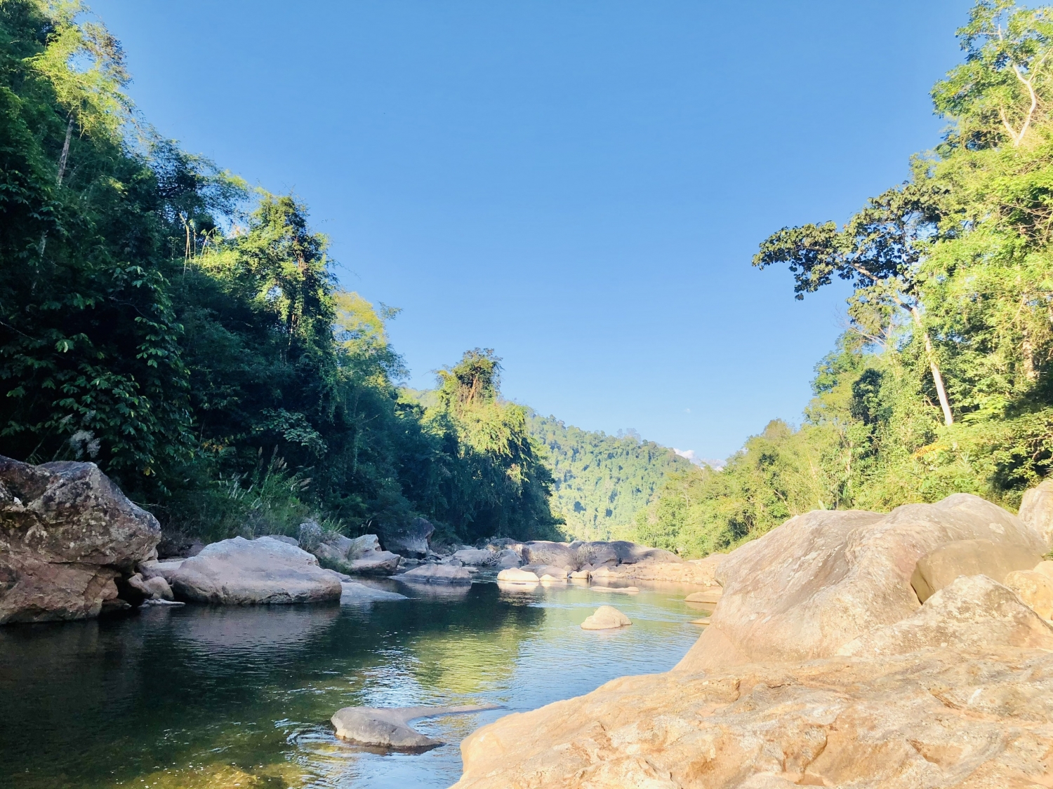 Khu bảo tồn thiên nhiên Mường Nhé