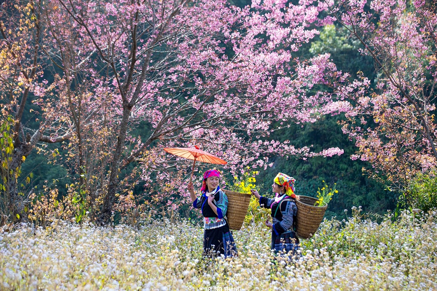 Sắc Xuân trên bản Mông