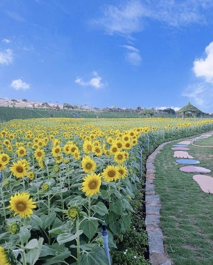 Ninh Thuận - Điểm đến khai Xuân đầu năm