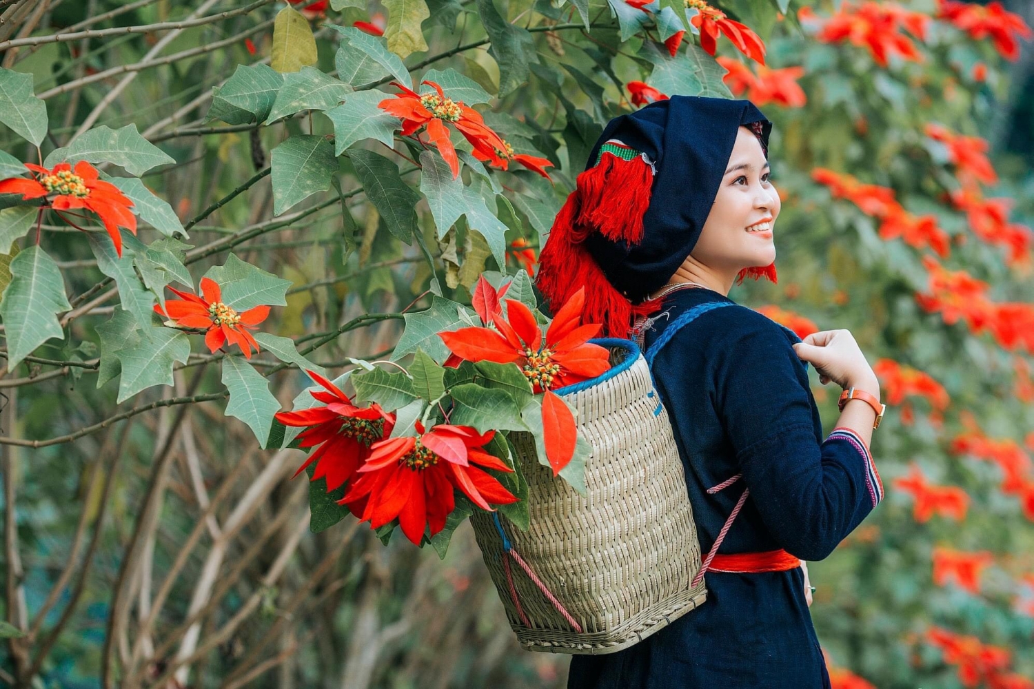 Xuân Sơn rực rỡ mùa hoa trạng nguyên