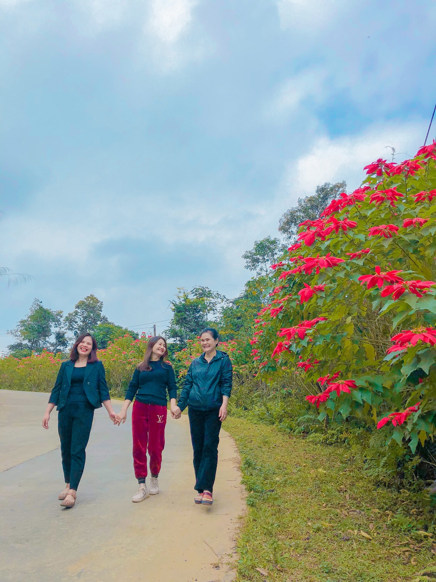 Xuân Sơn rực rỡ mùa hoa trạng nguyên