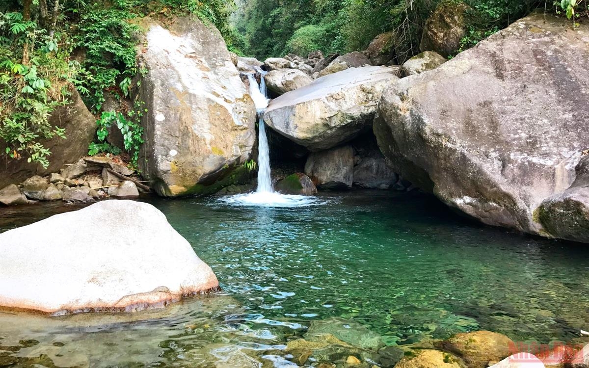 Xanh ngát màu Pu Ta Leng