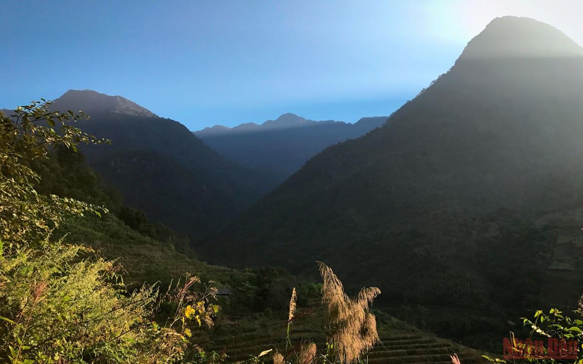 Xanh ngát màu Pu Ta Leng