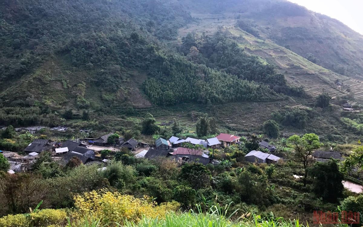 Xanh ngát màu Pu Ta Leng