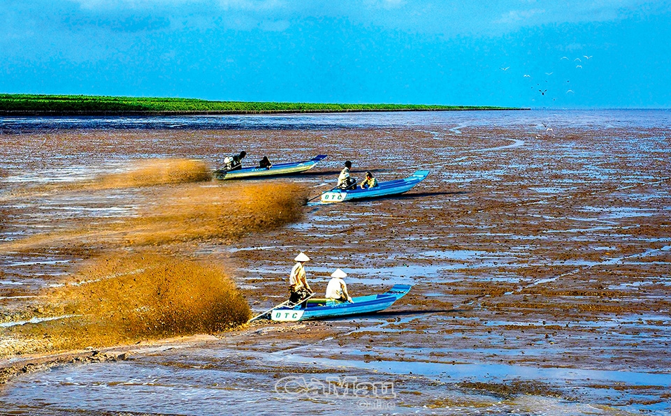 Lướt sóng trên thảm phù sa