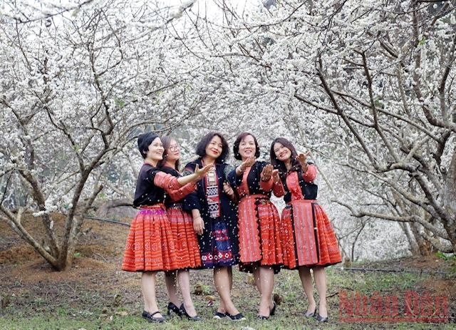 “Miền cổ tích trắng” giữa lòng TP Sơn La