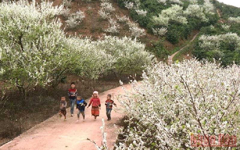 “Miền cổ tích trắng” giữa lòng TP Sơn La