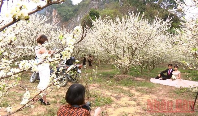 “Miền cổ tích trắng” giữa lòng TP Sơn La