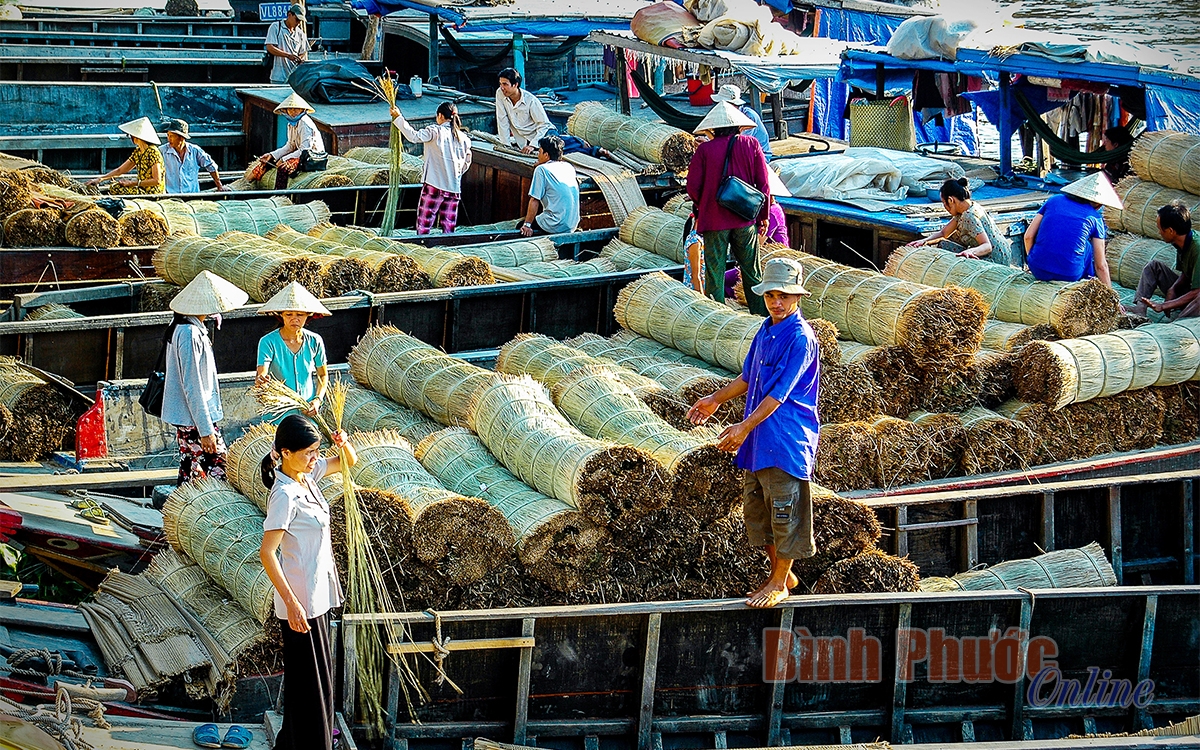 Khám phá vẻ đẹp ở làng nghề dệt chiếu trăm tuổi Khám phá vẻ đẹp ở làng nghề dệt chiếu trăm tuổi