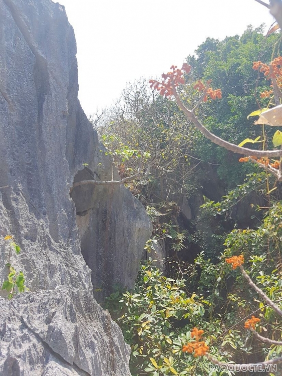 Đảo Hòn Nghệ - ‘Hạ Long ở phương Nam'