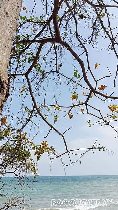 Đảo Hòn Nghệ - ‘Hạ Long ở phương Nam'