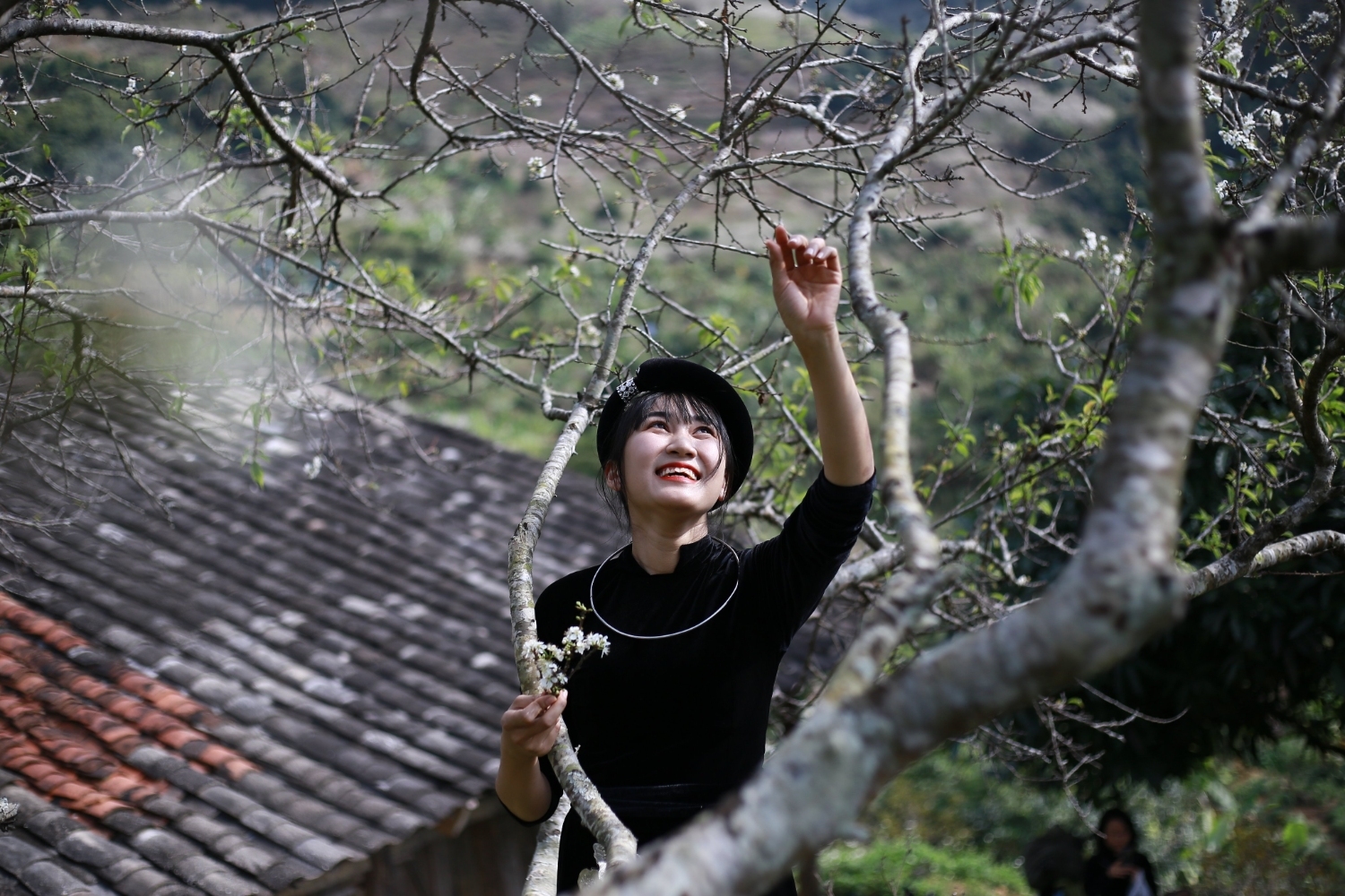 Mùa hoa mận Khuổi Bắc