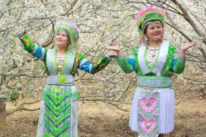 Mùa hoa mận Khuổi Bắc