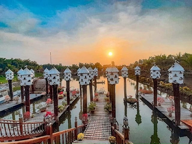 Trải nghiệm nghệ thuật “tắm rừng” kiểu Nhật tại Trà Sư