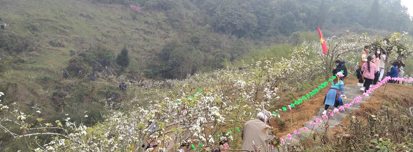 Đặc sắc Lễ hội hoa lê trắng biên cương Si Ma Cai