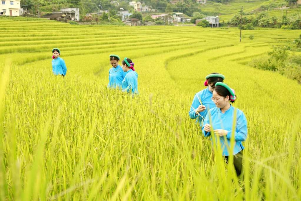 Đánh thức tiềm năng du lịch cộng đồng ở Tiên Yên