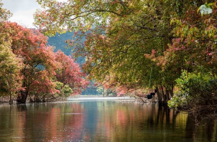 Chiêm ngưỡng mùa lá đỏ xứ D’ran Chiêm ngưỡng mùa lá đỏ xứ D’ran