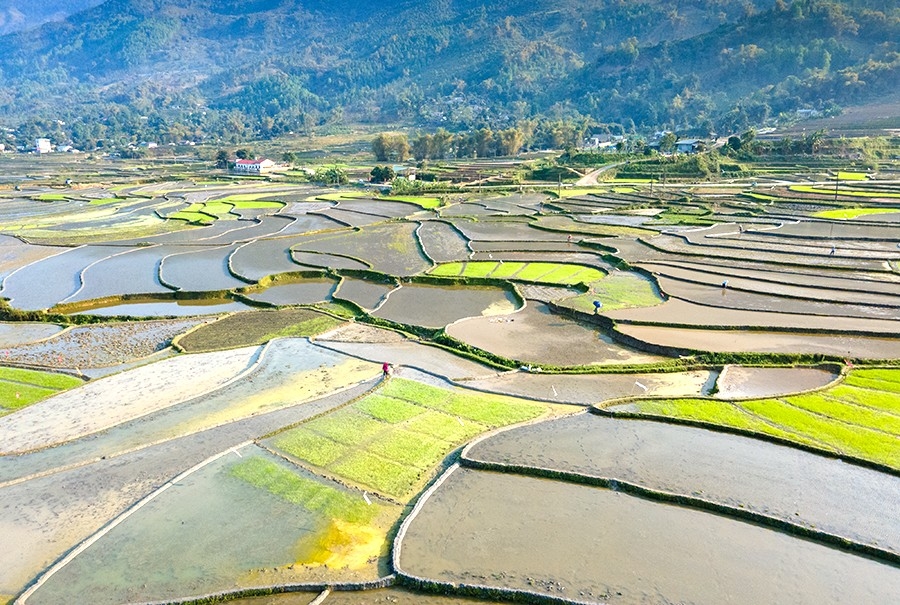 Hợp Thành mùa nước đổ: Bức bích họa của thành phố Lào Cai