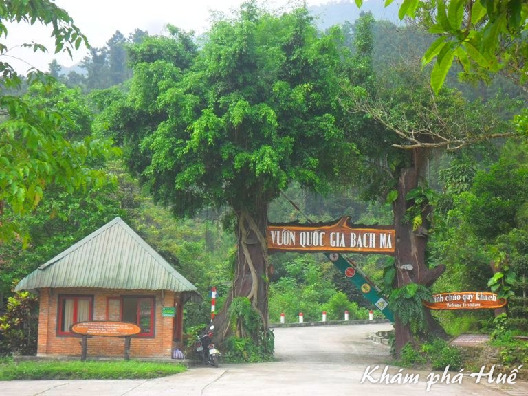 Bạch Mã - Cung đường du lịch xanh